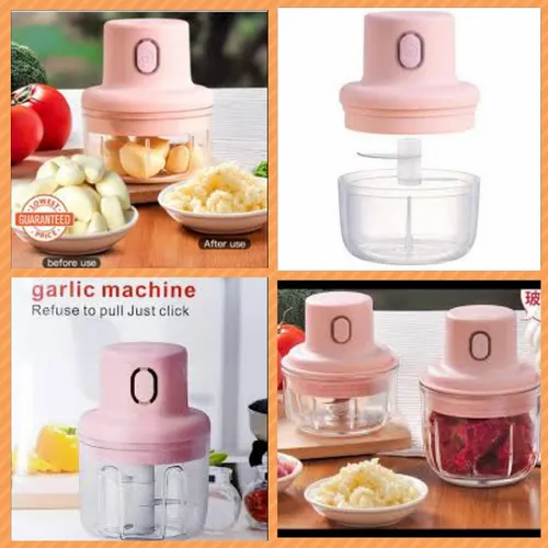 Electric chopper and grinder